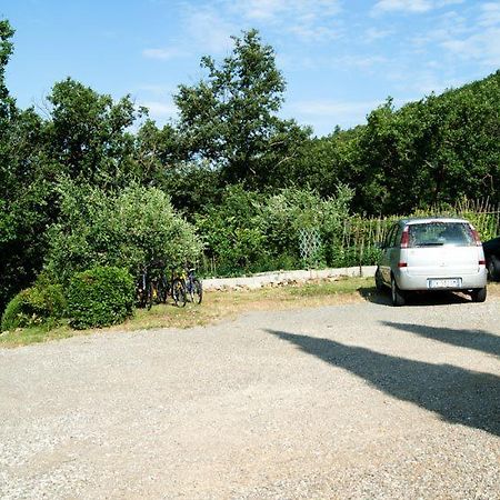 B&B La Roverella Castellina in Chianti Ngoại thất bức ảnh